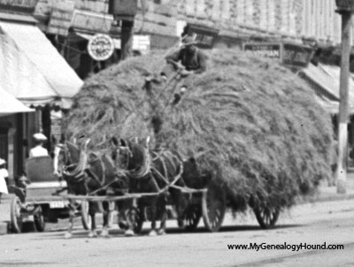 North Adams, Massachusetts: A load of hay coming up Main Street