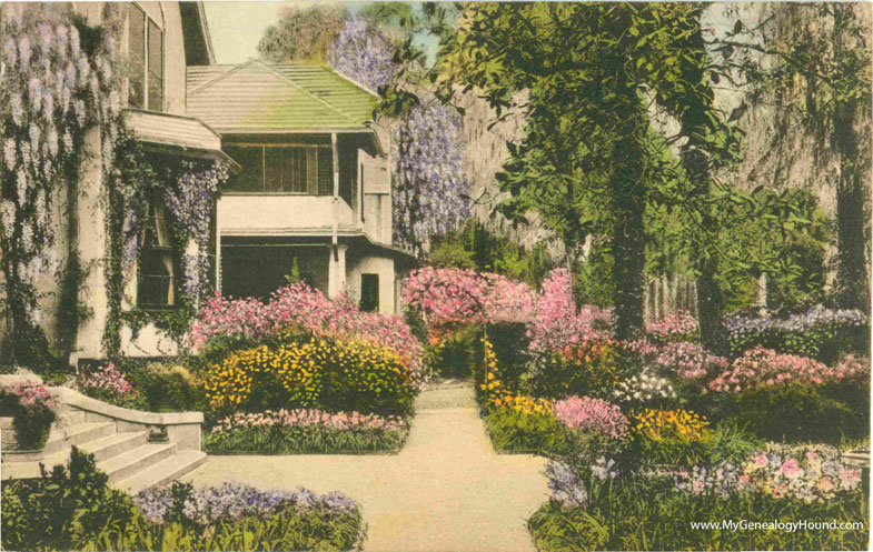 Thomasville, Georgia, Chinquapin Plantation, vintage postcard photo