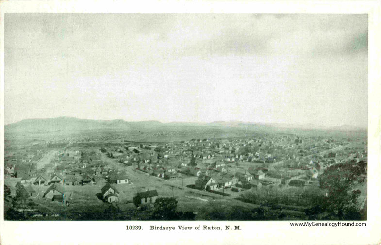 Raton, New Mexico, Birds Eye View, vintage postcard photo, view one